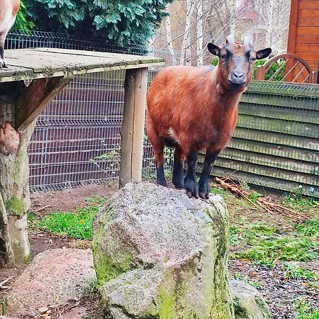 Apartmán Baltic Summer - Osrodek Dla Rodzin Z Dziecmi Rewa