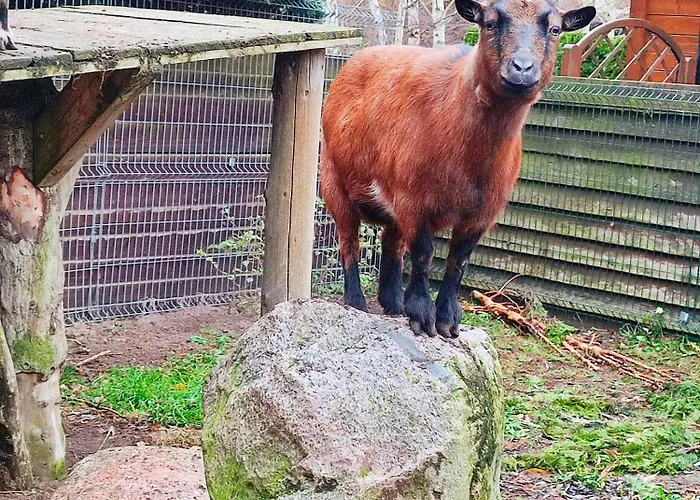 Apartmán Baltic Summer - Osrodek Dla Rodzin Z Dziecmi Rewa